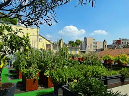 Perché lo zoo di milano è stato chiuso?askmilano (self.milano). Vertical And Urban Gardening The Hotel Milano Scala