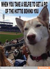 Dog Selfie Ifunny Funny Animals Funny Animal Jokes Funny Animal Memes