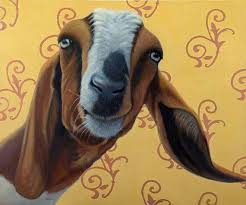 Funny Goat Print Matted For 16 X 20 Frame Expressive Animal Art Funny Goat Art 10 Benefits Animal Rescue Goat Art Animal Art Goats Funny