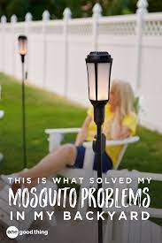 These Mosquito Torches Saved My Backyard One Good Thing By Jillee Backyard Mosquito Control Backyard Fun To Be One