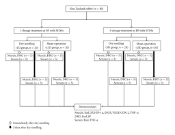 Flow Chart For The Animal Study Abbreviations 1d One