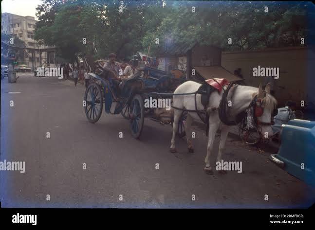 Horse cart mumbai india hi-res stock photography and images - Alamy