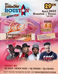Mocha Fest Houston - Lingerie Party — DJ STAKZ