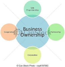 business ownership management diagram