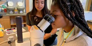 How the Pandemic May Help More Students See Themselves as Scientists