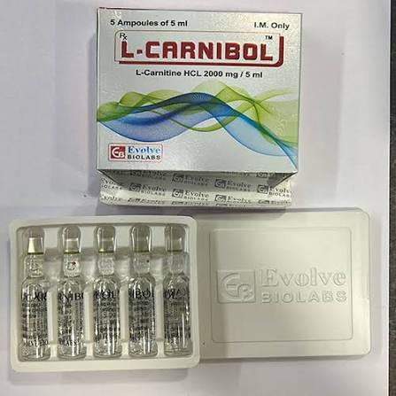 Liquid L Carnitine Hcl 2000mg 5ml Injection at 800.00 INR at Best Price in Nagpur | Nilpankh India Private Limited