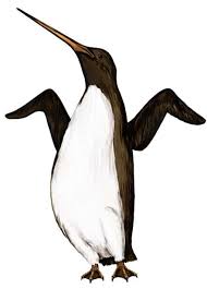 Maybe you would like to learn more about one of these? Extinct Mega Penguin Was Tallest And Heaviest Ever New Scientist
