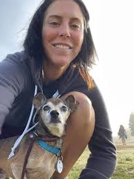 Yorkies playing in pup hut