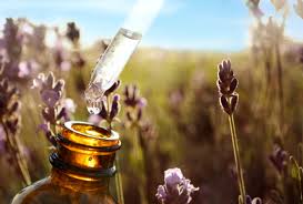 It has helped with patterned baldness when applied to the. Benefits And Uses Of Lavender Essential Oil I Skin Care I Body Care I Diy Recipes And Safety Tips Isabella S Clearly