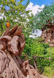 Shop during xx sale season as certain percent or dollar off is given on all products with. Guide To Discounted Disney Gift Cards The Disney Journey