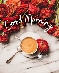35+ Good Morning Red Rose Images - Desi Comments