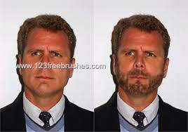 20 male eyes ps brushes vol.3. Facial Hair Photoshop Custom Brush 123freebrushes