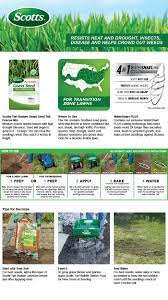 Scotts 7 Lb Turf Builder Tall Fescue Mix Grass Seed 18346 The Home Depot Best Grass Seed Lawn Turf Builder Growing Grass
