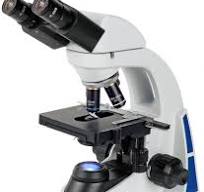 Amazon.com: UNICO Microscopio binocular mecánico de la etapa ...