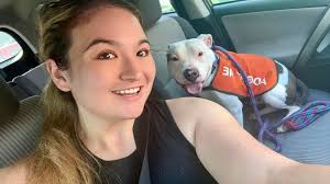 Adopting a friendly 2 year old dog