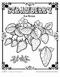 Fruits And Vegetables In Spanish Coloring Pages Education Com Coloring Pages Food Coloring Pages Spanish