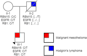 In fact, most people don't even know what it does. Molecular Analysis Of An Asbestos Exposed Belgian Family With A High Prevalence Of Mesothelioma Springerlink