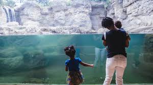 Save more and get more from your trip. Florida Fun For Kids Museum Of Discovery In Fort Lauderdale Visit Florida