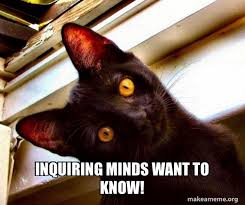 images?q=tbn:ANd9GcTOsbTdm4F1swCbzkjsJd1