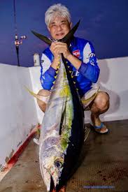 Tuna: Yellowfin Tuna - Talk About Fish