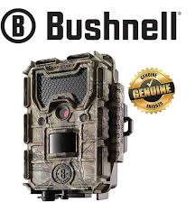 Your performance is our passion. Bushnell 119873c Trophy Cam Hd Aggressor 14mp Trail Camera