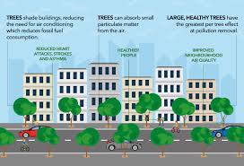 How do plants help maintain the quality of the atmosphere? How Trees Improve Air Quality Greenblue Urban
