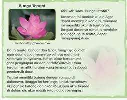 Di samping dari umbi atau. Tumbuhan Yang Memiliki Rongga Udara Untuk Membawa Oksigen Ke Batang Dan Akarnya Adalah Jenis Brainly Co Id