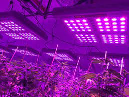 2pcs Mars Hydro Ts 3000w Led Grow Light Full Spectrum Commercial Lighting 5x5 Grow Lights Led Grow Lights Led Grow