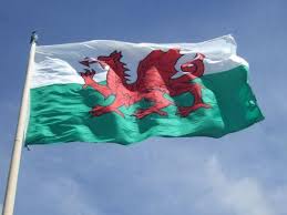 Award winning food hall & deli whitmore & white. Senedd Could Consider Welsh Dragon Penis Petition The National Wales