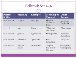 Medical Terminology Root Words Prefixes And Suffixes 4th 9 Weeks Ppt Download