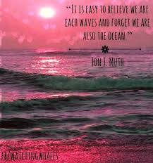 Ocean Quote Via Www Facebook Com Watchingwhales Ocean Quotes Hawaiian Quotes Ocean Qoutes