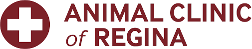 Check spelling or type a new query. Animal Clinic Of Regina