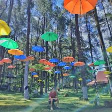 Tempat wisata yang populer pertama di purwokerto adalah the village purwokerto. Wisata Dengan Spot Warna Warni Di Banyumas Bikin Feed Instagram Jadi Cantik
