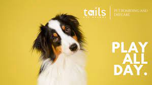 Maybe you would like to learn more about one of these? Tails Pet Resorts Home Facebook