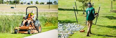 Augustine are similar because they both are fairly drought resistant grasses. Carrollton Lawn Care Kingreen Services Co