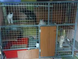 Jadi jika anda ingin memulai memelihara kelinci ataupun ingin berternak kelinci sebaiknya anda mempunyai lahan untuk membuat kandang kelinci yang bisa untuk dijadikan. Pin On Pets Care Poo