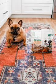 Louie, winston, frankie, oliver, max, charlie… the male french bulldog is small but has a big following, thanks in part to its sweet, playful, and adaptable personality. 85 Cute Unique Boy Dog Names Lovely Lucky Life