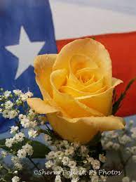 Pin On God Bless Texas
