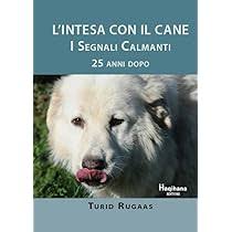 Cuscino Cane Cuscino Quadrato (60 Cm) Etna Rosso