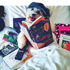 Saúde anuncia primeira morte por dengue, neste ano, no estado