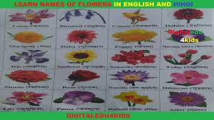 Maybe you would like to learn more about one of these? Names Of Flowers In English And Hindi Names Of Flowers Flowers Names