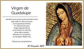 Siempre virgen maría, madre del dios verdadero, y aunque gimiendo bajo el peso de nuestros pecados, venimos a postrarnos en tu presencia hacer la petición. Oracion A La Virgen Maria De Guadalupe Paso A Paso