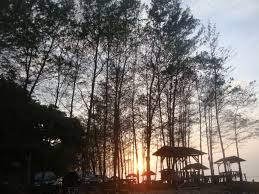 Berkemah alias camping adalah pilihan bijaksana. Pantai Laguna Samudera Sebuah Paduan Serasi Kompasiana Com