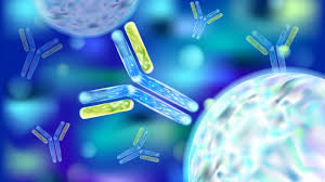 Regeneron Could Begin Covid 19 Clinical Trials In Summer For Newly Identified Antibodies Biospace