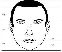 Ideals Of Facial Beauty Mdedge Dermatology Perfect male face template png. ideals of facial beauty mdedge