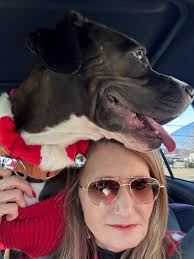 2024 Parkersburg Christmas Parade