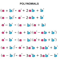 In this section, we will assume that all variables in the denominator are nonzero. Determining Polynomials Basic Operations Most Important Rules