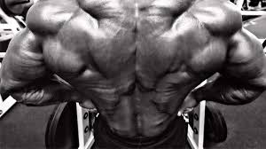 Muscle structure of the lower back. 3 Essential Exercises For A Stronger Lower Back Spotmebro Com