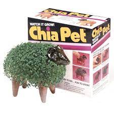 Chia Ram Chia Pet Pets Chia