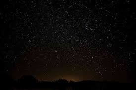 We did not find results for: Guided By The Light Returning The Night Skies To Migratory Birds Defenders Of Wildlife